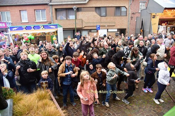 Editie_galmaarden_paarden_brillant_3__kopie_