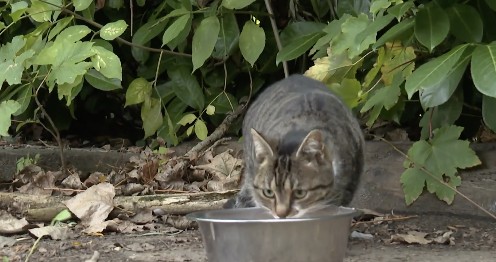 Scherm__afbeelding_2025-10-30_om_09