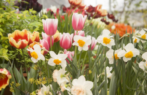 Scherm__afbeelding_2025-11-10_om_08