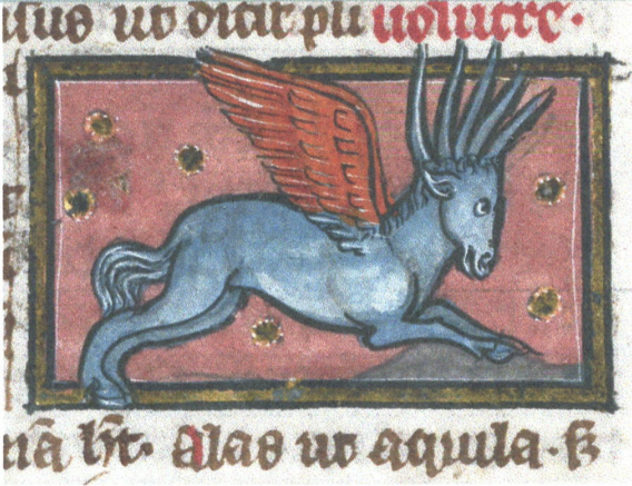 Scherm__afbeelding_2025-11-13_om_17