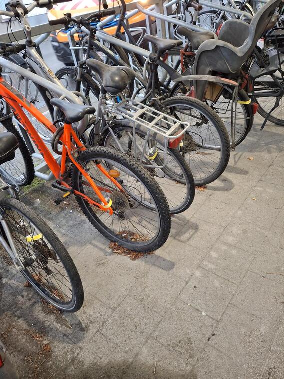 Weesfietsactie_19nov25