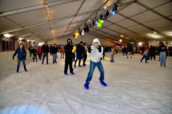 Dsc_7566_01__01___groot_