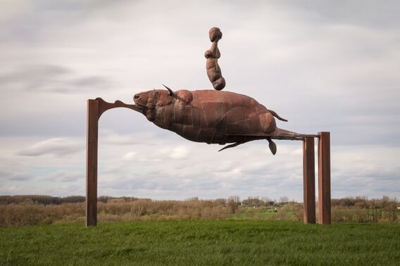 Stiermetaal2__koenraadtinel