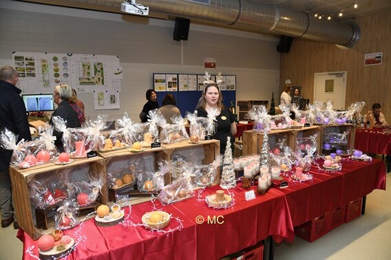 Editie_bever_kerstbeurs_6__kopie_