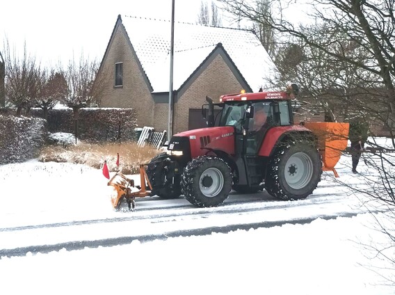 A_sneeuw_flieterkouter_2