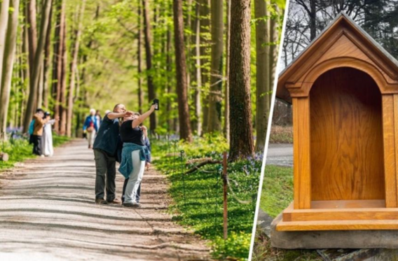 Scherm__afbeelding_2026-01-22_om_12