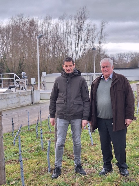 20260123_aanplant_groenscherm_kwzi_heikruis_pepingen_001