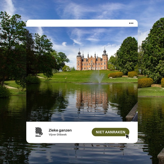 610706416_17995300856899256_6469518474820087212_n