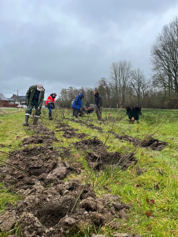 Aanplant_hunselbeek_1