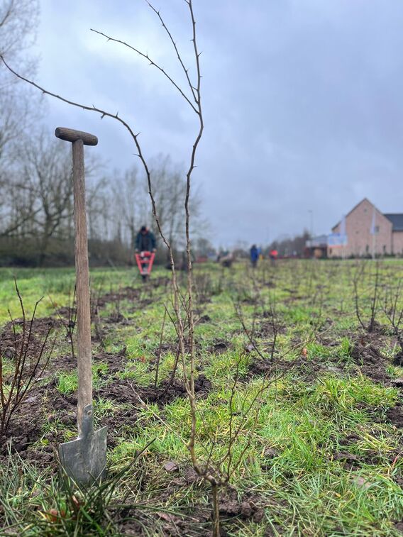 Aanplant_hunselbeek_2