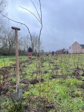 Aanplant_hunselbeek_2_nieuwsbrief