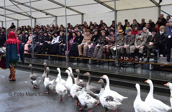 Editie_geraardsbergen_krakelingen_3__kopie_