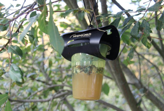 Scherm__afbeelding_2026-03-01_om_10