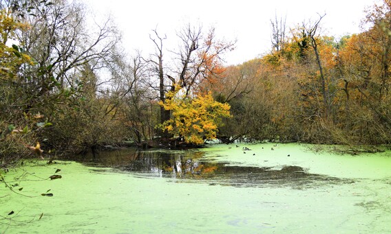 Tentoon_twee_14__kopie_