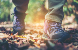 Schermafbeelding_2026-03-24_225621