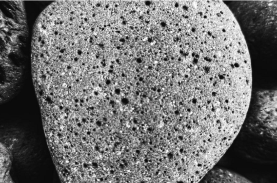 Scherm__afbeelding_2026-03-31_om_20