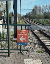 1000011452_nieuwsbrief