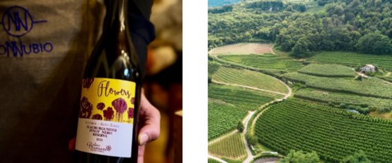 Schermafbeelding_2026-04-07_095626