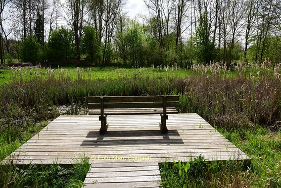 Editie_galmaarden_tuin_baljuwhuis_4__kopie_