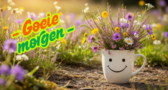 Schermafbeelding_2026-05-16_102713_nieuwsbrief