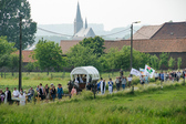 Drogo_foto_2_nieuwsbrief