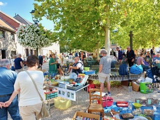 Rommelmarkt-gaasbeek-20250824_104555_2
