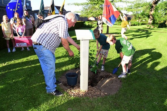 Editie_galmaarden_meiboom_7__kopie_