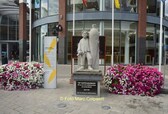 Editie_ninove_wortel_carnaval_1__kopie__nieuwsbrief