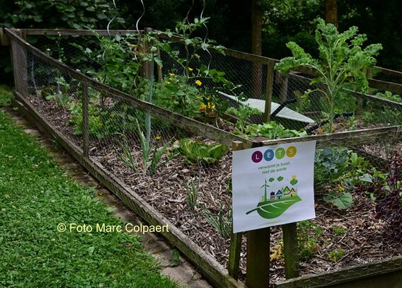 Editie_galmaarden_open_tuin_bruinsbroek_5__kopie_