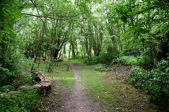 Editie_galmaarden_open_tuin_bruinsbroek_4__kopie_