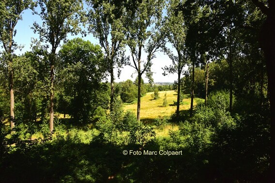Editie_gooik_kesteheide_natuurpunt_4__kopie_