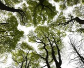 A_a_tentoon_neigem_2_nieuwsbrief
