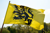 Vlag_vlaamse_leeuw_487463549_nieuwsbrief