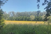 Natuur_nieuwsbrief