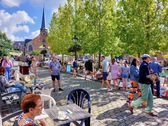 Rommelmarkt-gaasbeek-20240825_121242_2_nieuwsbrief