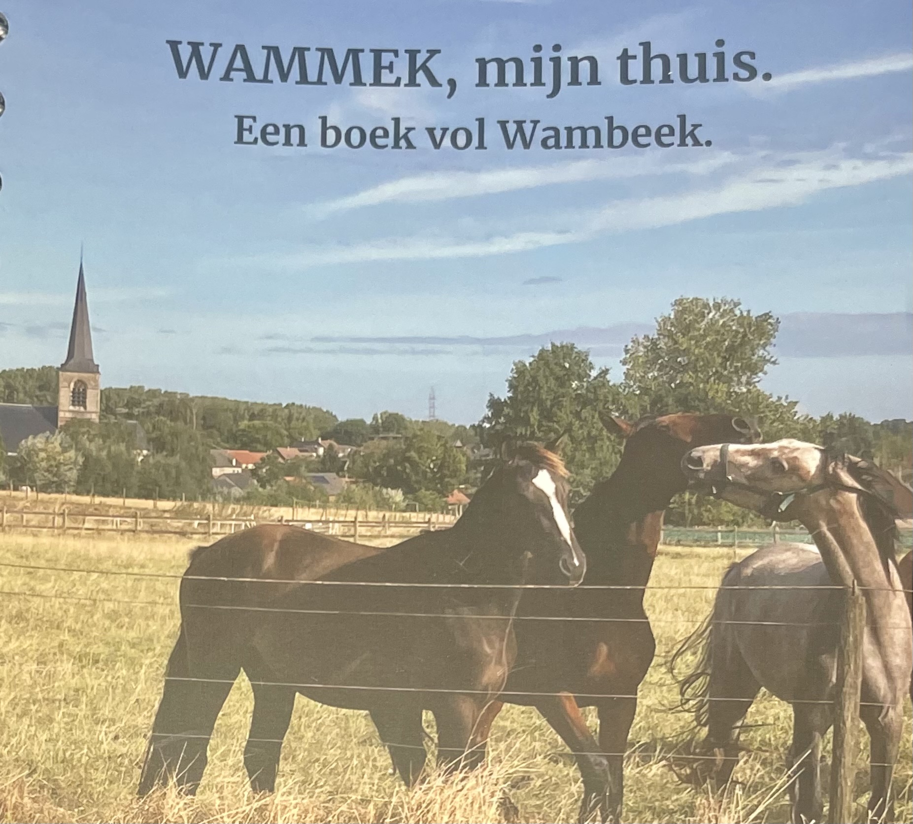 Cover boek