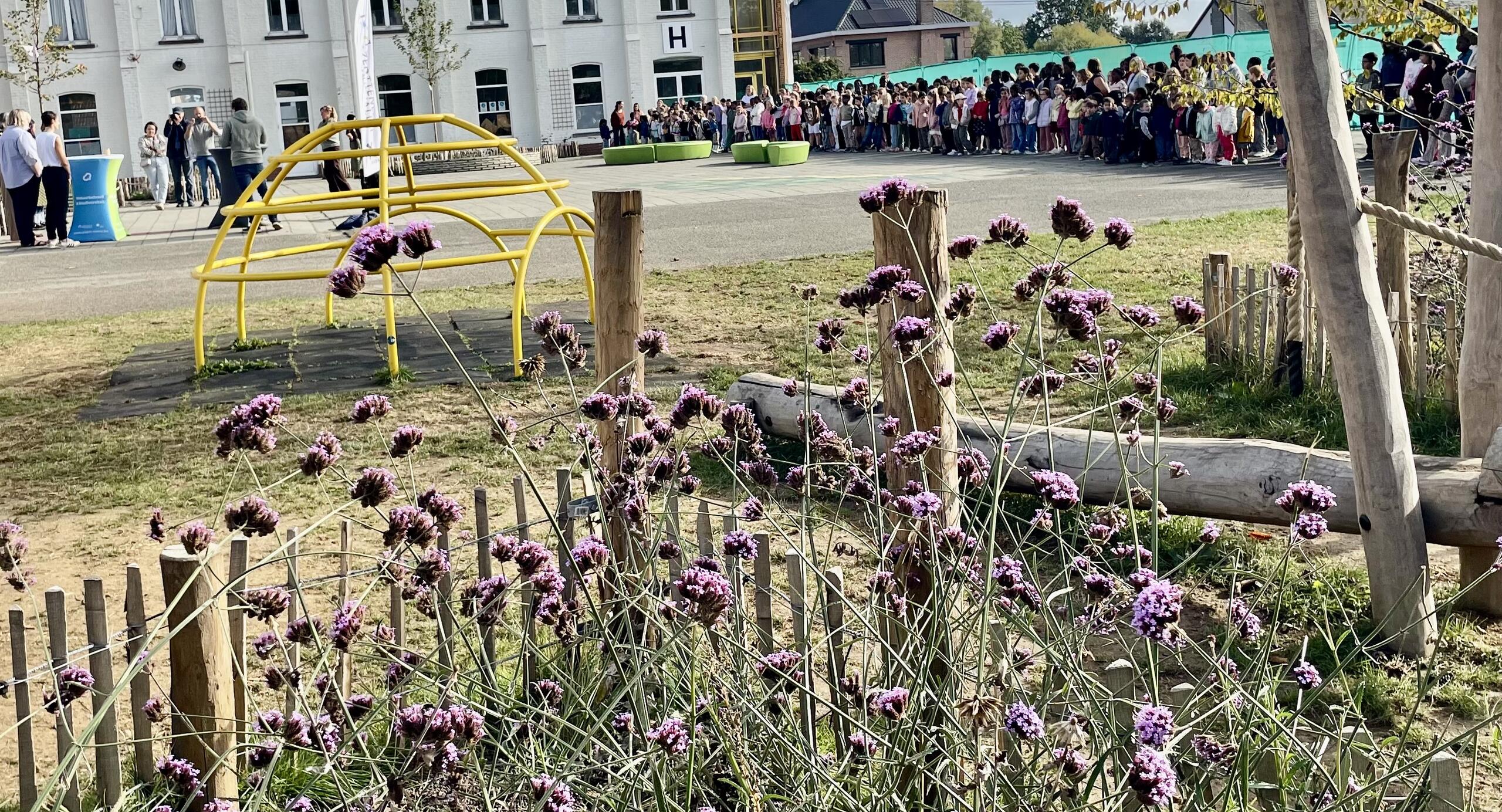 Met biodiversiteit