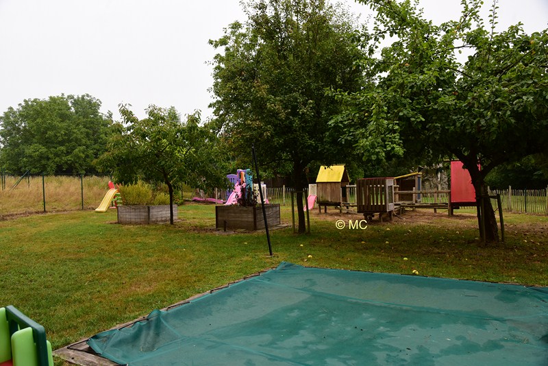 tuin