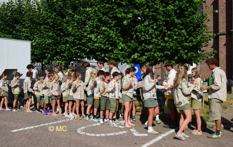 scouts