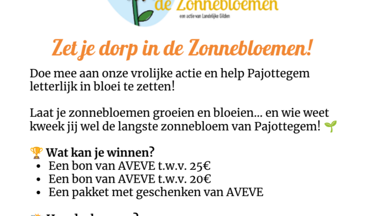 zonnebloemen 