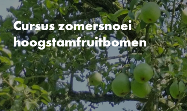 snoeien