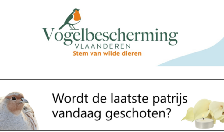 patrijs