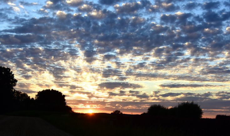natuur