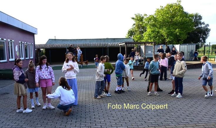 school