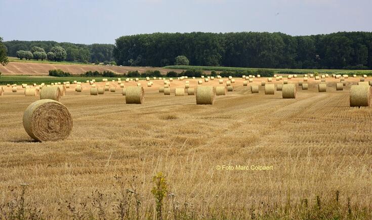 natuur in Vollezele