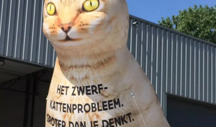 foto Vlaamse overheid
