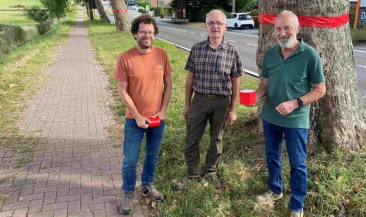 Alwin Loeckx Lode Dehantschutter en Luc Luyckx van Groen Pajottegem bij de bedreigde bomen