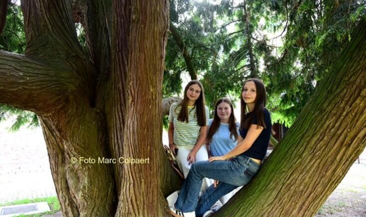 Laura Ruth en Nina ontdekten de tuin van het Baljuwhuis.- Foto Marc Colpaert