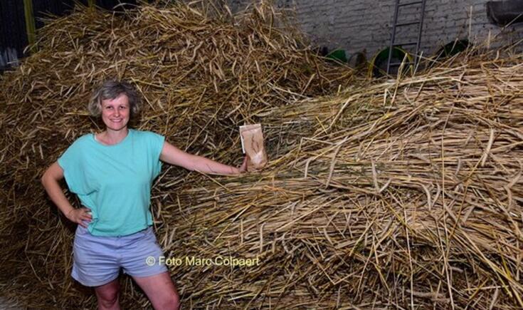 Justine naast een berg graanrassen.- Foto Marc Colpaert