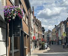 bloemen in de straat 
